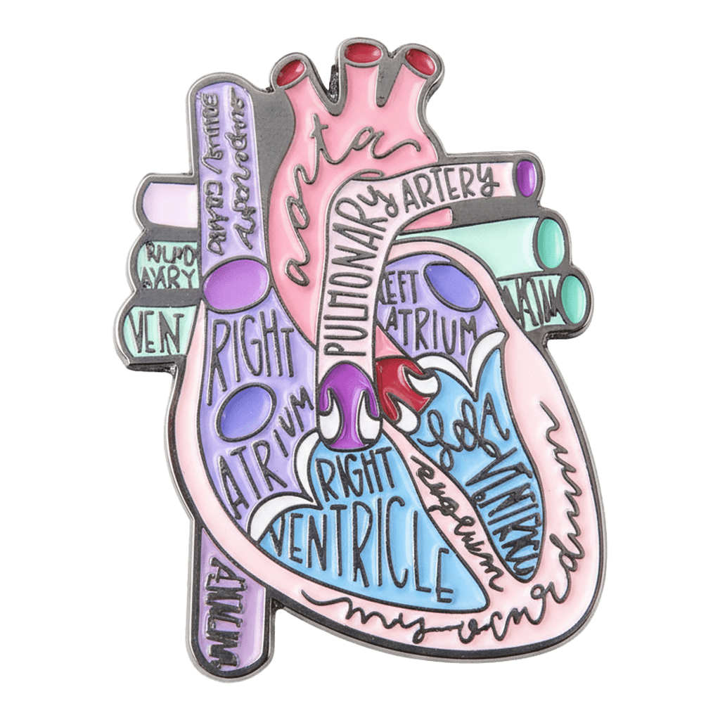 Anatomical Heart Diagram Metal Phone Sticker With 3M Sticky Backing - StickyPins