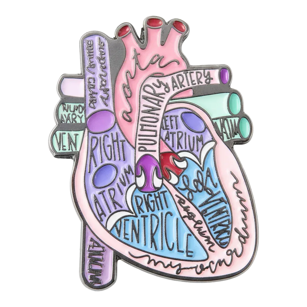 Anatomical Heart Diagram Metal Sticker With 3M Sticky Backing - StickyPins